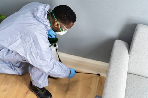 Best Fumigation Services  in Bloomington, CA